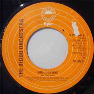 The Biddu Orchestra - Soul Coaxing