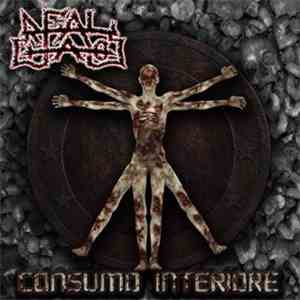 Real Chaos  - Consumo Interiore