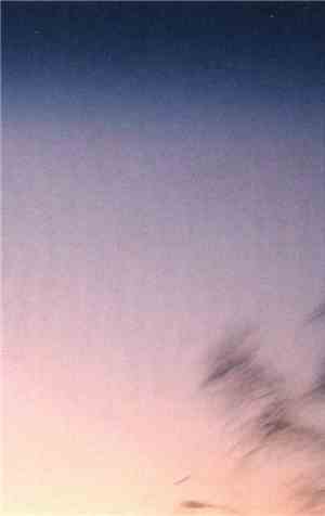 Treetops - Eternal Sky