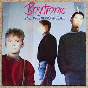 Boytronic - The Working Model