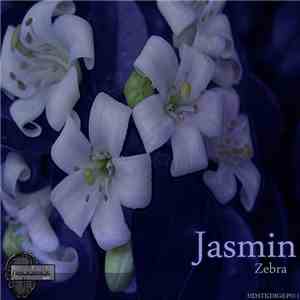 Jasmin - Zebra