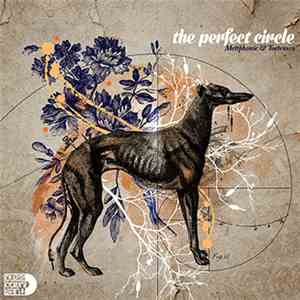 Mettphonic & Toetensen - The Perfect Circle