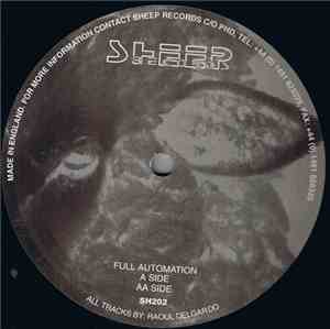 Raoul Delgardo - Full Automation