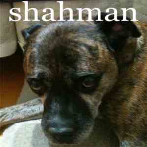 Shahman - Shahman