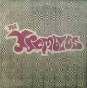 The Trembles  - Stupid Fool