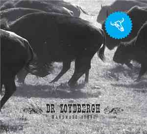Dr Zoydbergh - Handmade Songs