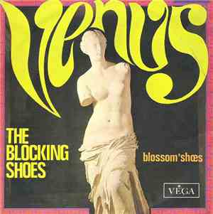 The Blocking Shoes - Venus / Blossom' Shoes
