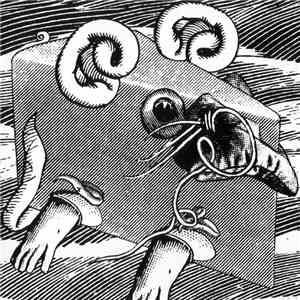 A Mouse Orchestra - A Lump In Your Throat