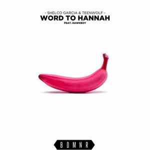 Shelco Garcia & Teenwolf Feat. Hawkboy  - Word To Hannah