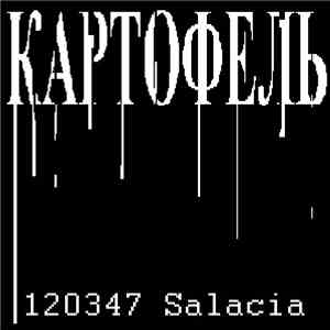 КАРТОФЕЛЬ - 120347 Salacia