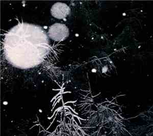 Over The Voids... - Over the Voids