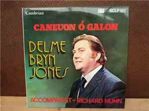Delme Bryn-Jones - Caneuon O Galon