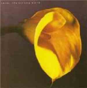 Swans - The Burning World