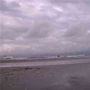 Pulsaar - Sendai Beach