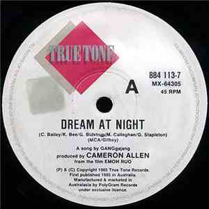 GANGgajang / Cameron Allen - Dream At Night / Tunkleys Leave Home