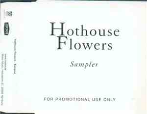 Hothouse Flowers - Sampler