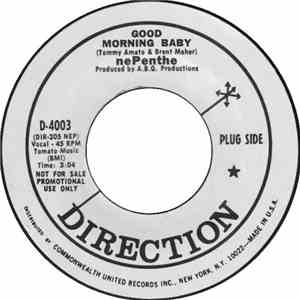 nePenthe  - Good Morning Baby / Slow It Down