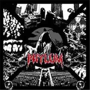 Phylum  - Divisions