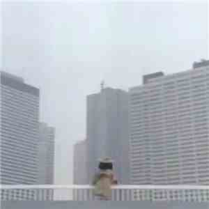 Virtual Polygon - Parallel Conurbation
