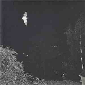 Topless  - So Below EP