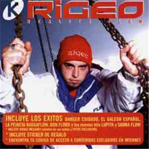 Rigeo - Reality Flow
