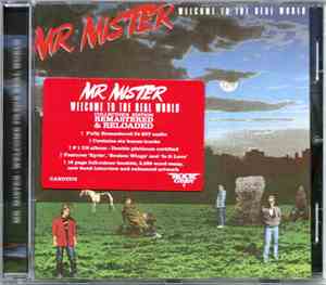 Mr. Mister - Welcome To The Real World