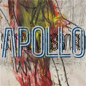 Stone Gossard - Apollo