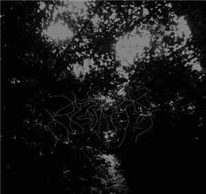 When Woods Make Graves - This Forest That Will Eclipse The Sky