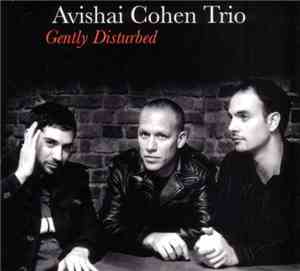Avishai Cohen Trio - Gently Disturbed
