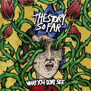 The Story So Far  - What You Don't See