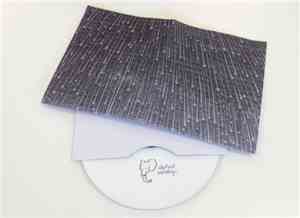 Elephant Recordings - Perseids Sky