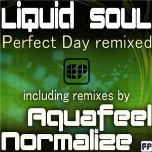 Liquid Soul  - Perfect Day Remixed