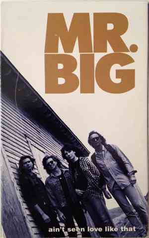 Mr. Big - Ain't Seen Love Like That