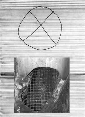 Shapeless Coat Of Arms - Shapeless Coat Of Arms