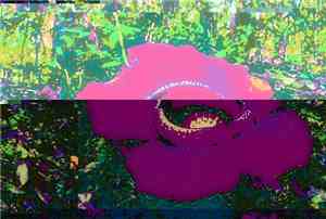 Error 1991 - 847657256547....211345.34.6428..79780890151...658679753461..17 ...
