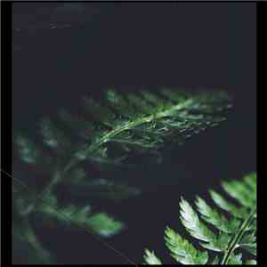 Paul Mitchell  - Earthen
