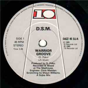 DSM - Warrior Groove