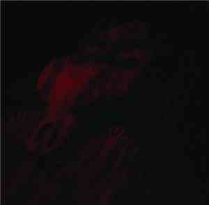 Grave Upheaval - Untitled