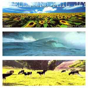 Molella & Phil Jay - It's A Real World Remix