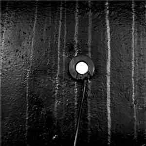Swarm Intelligence - Field Recordings