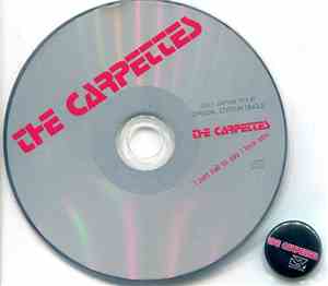 The Carpettes - I Just Call To Say I Love You