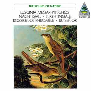 Walter Tilgner - Luscinia Megarhynchos • Nachtigall • Nightingale • Rossignol Philomèle • Ruiseñor