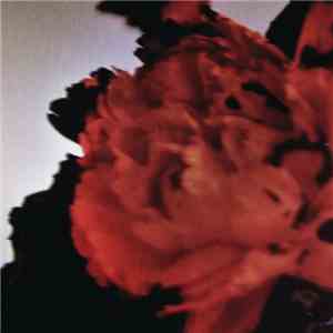 John Legend - All Of Me