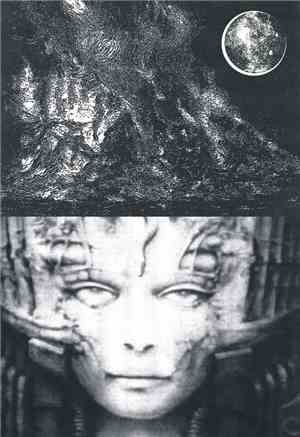 Laskovoe Echo / Paragon Belial  - Laskovoe Echo / Paragon Belial