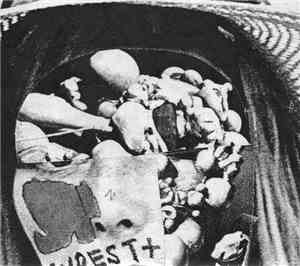 Wrest  - Wrest + (Collaborative Recordings)