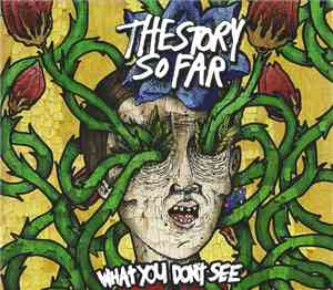 The Story So Far  - What You Don't See