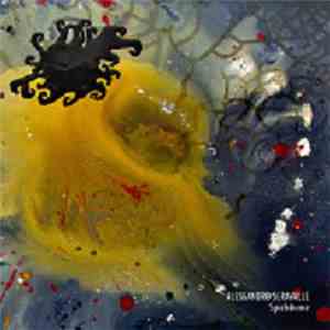 Alessandro Seravalle - Spielräume