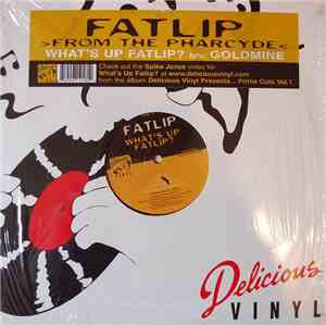 Fatlip - What's Up Fatlip? / Goldmine