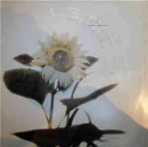 L.S.G. - Fontana /  Venus (Remixes)