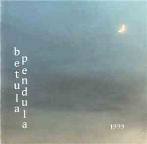 Betula Pendula - 1999